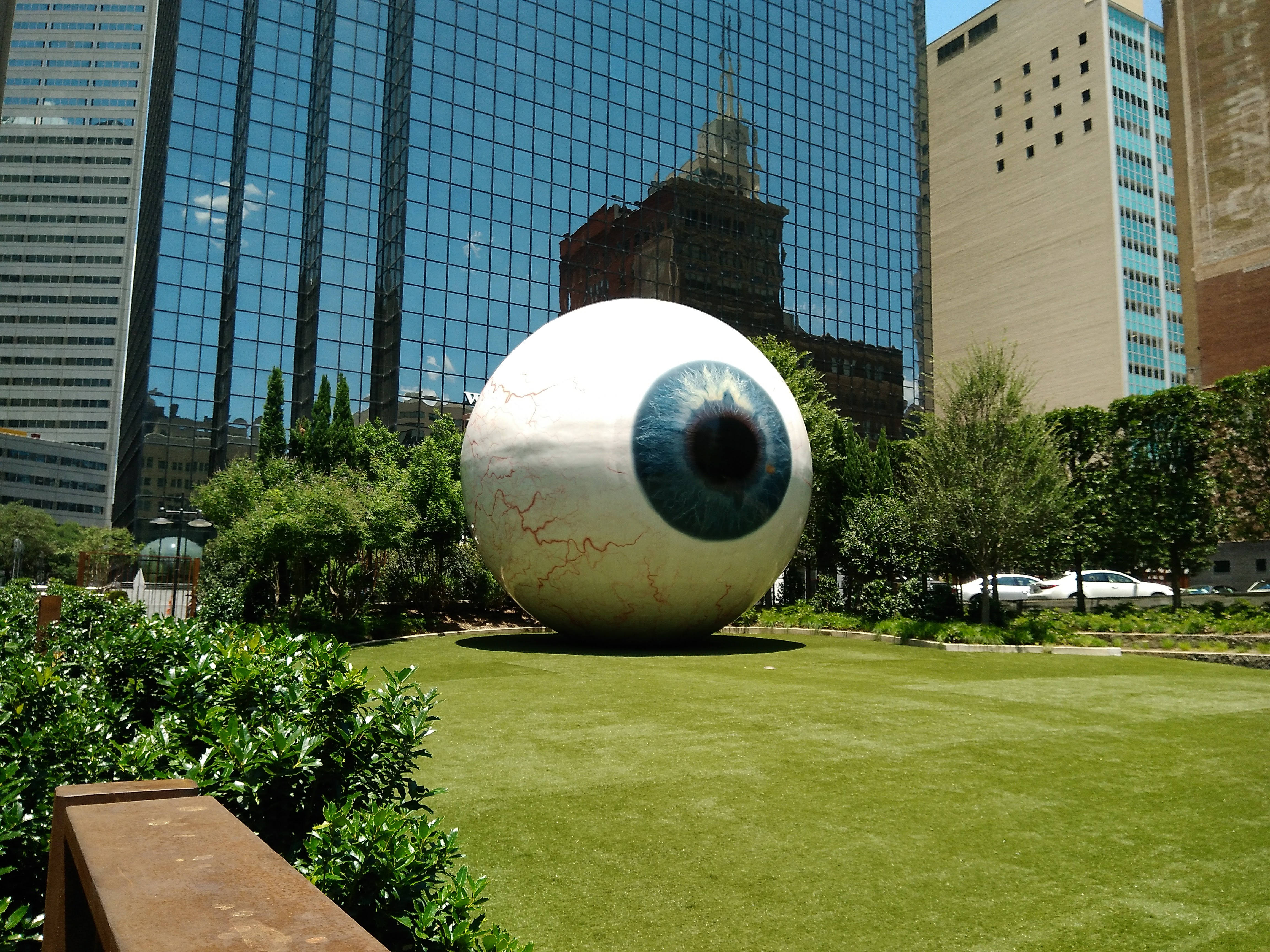 An eyeball of alarming size